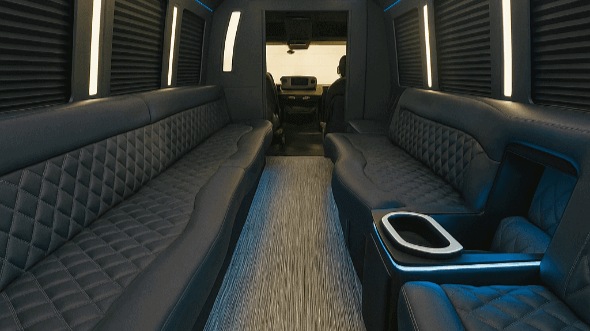 rockford 28 passenger party bus rental