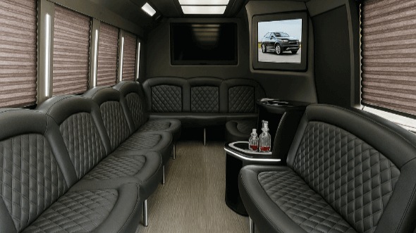 rockford 30 passenger party bus rental